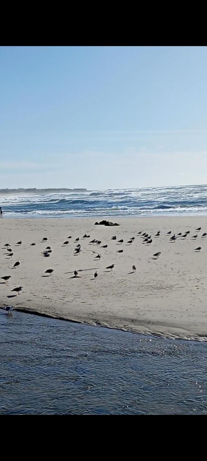 Atico Maravilloso En Cangas , Vigo 外观 照片